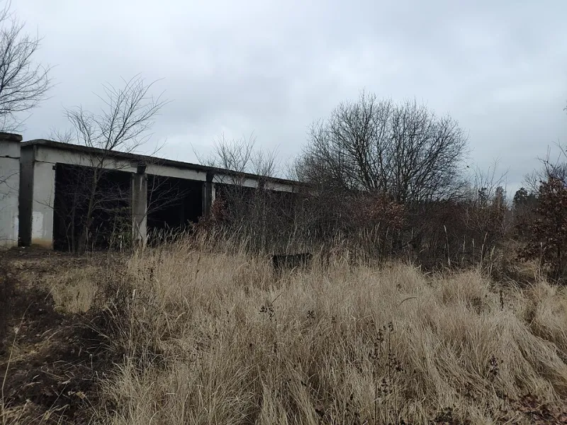 Walls That Talk Back: Artists Turning Forgotten Buildings Into Places Worth Remembering